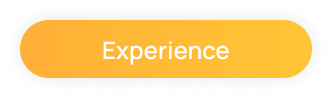 experience